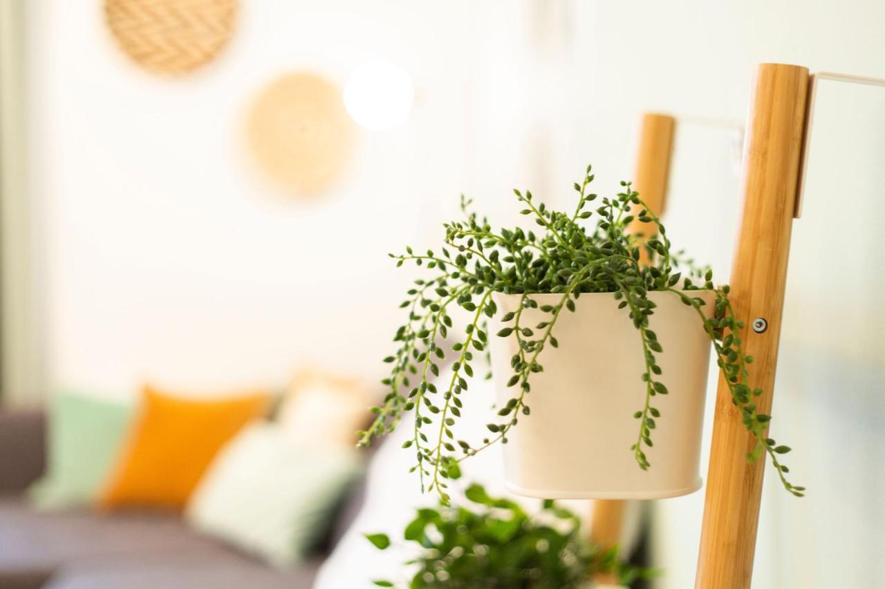 Green & Cozy Apartment - 15 Min To City Center เวียนนา ภายนอก รูปภาพ